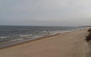 Grzybowo wschód - 17-03-2026 08:56