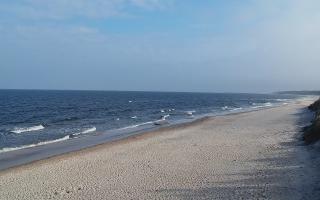 Grzybowo wschód - 17-03-2026 09:11