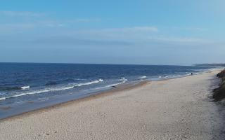 Grzybowo wschód - 17-03-2026 09:42