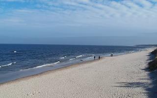 Grzybowo wschód - 17-03-2026 10:12