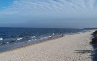 Grzybowo wschód - 17-03-2026 10:27