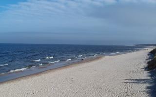 Grzybowo wschód - 17-03-2026 10:35