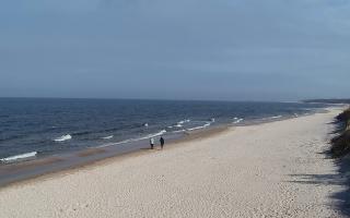 Grzybowo wschód - 17-03-2026 10:50