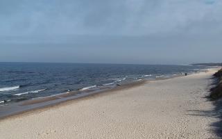 Grzybowo wschód - 17-03-2026 10:57