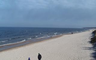 Grzybowo wschód - 17-03-2026 11:05