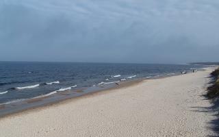 Grzybowo wschód - 17-03-2026 11:13