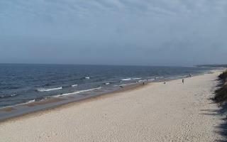 Grzybowo wschód - 17-03-2026 11:20