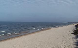 Grzybowo wschód - 17-03-2026 11:28