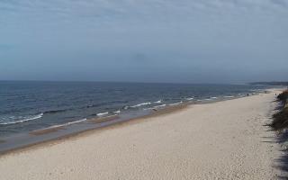 Grzybowo wschód - 17-03-2026 11:35