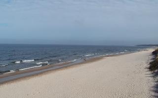 Grzybowo wschód - 17-03-2026 11:43