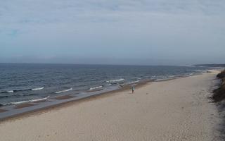 Grzybowo wschód - 17-03-2026 11:58