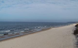 Grzybowo wschód - 17-03-2026 12:06