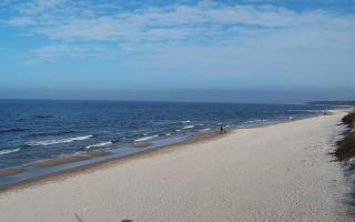 Grzybowo wschód - 17-03-2026 12:21