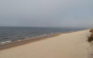 Grzybowo wschód - 17-03-2026 14:30