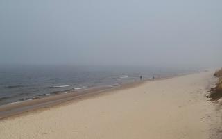 Grzybowo wschód - 17-03-2026 14:37