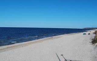 Grzybowo wschód - 21-03-2026 13:46