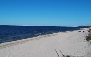 Grzybowo wschód - 21-03-2026 13:53