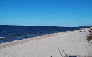 Grzybowo wschód - 21-03-2026 14:01