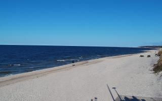 Grzybowo wschód - 21-03-2026 14:08