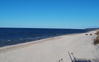 Grzybowo wschód - 21-03-2026 14:16