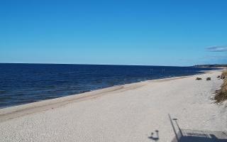 Grzybowo wschód - 21-03-2026 14:31