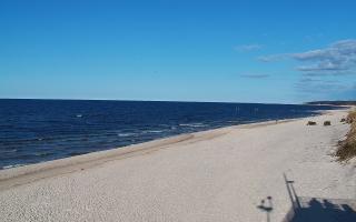 Grzybowo wschód - 21-03-2026 14:46