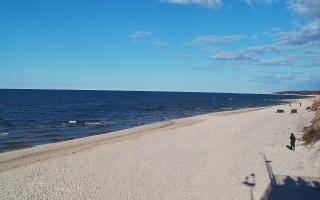 Grzybowo wschód - 21-03-2026 14:54