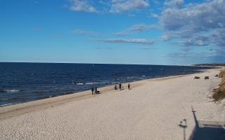 Grzybowo wschód - 21-03-2026 15:01