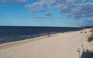 Grzybowo wschód - 21-03-2026 15:09