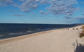 Grzybowo wschód - 21-03-2026 15:17