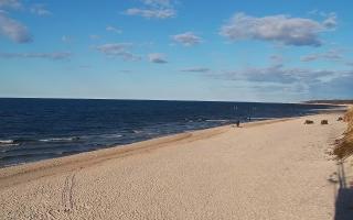 Grzybowo wschód - 21-03-2026 15:32