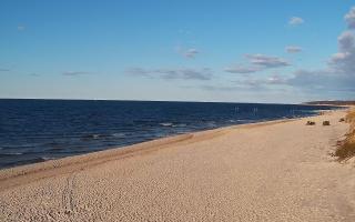 Grzybowo wschód - 21-03-2026 15:54