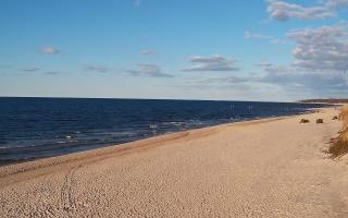 Grzybowo wschód - 21-03-2026 16:02