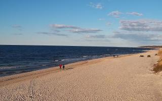 Grzybowo wschód - 21-03-2026 16:10