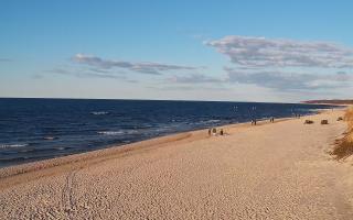 Grzybowo wschód - 21-03-2026 16:17