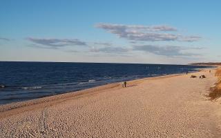 Grzybowo wschód - 21-03-2026 16:25