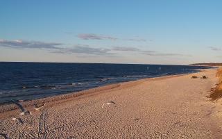 Grzybowo wschód - 21-03-2026 16:40