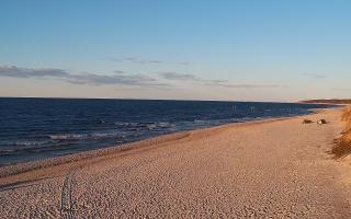 Grzybowo wschód - 21-03-2026 16:47