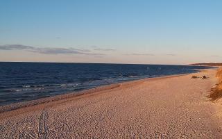 Grzybowo wschód - 21-03-2026 16:55