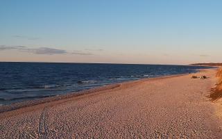 Grzybowo wschód - 21-03-2026 17:03