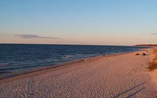 Grzybowo wschód - 21-03-2026 17:10