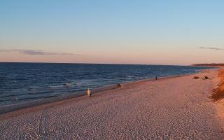 Grzybowo wschód - 21-03-2026 17:18