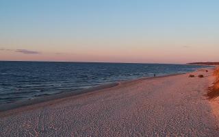 Grzybowo wschód - 21-03-2026 17:25