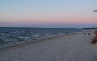 Grzybowo wschód - 21-03-2026 17:41