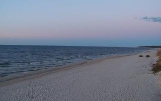 Grzybowo wschód - 21-03-2026 17:48