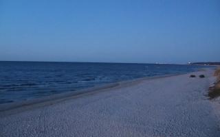 Grzybowo wschód - 21-03-2026 18:18