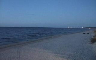 Grzybowo wschód - 21-03-2026 18:26