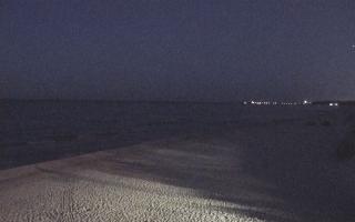 Grzybowo wschód - 21-03-2026 18:49