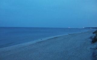 Grzybowo wschód - 04-04-2026 04:16