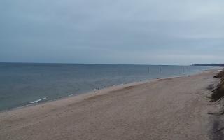 Grzybowo wschód - 04-04-2026 05:09